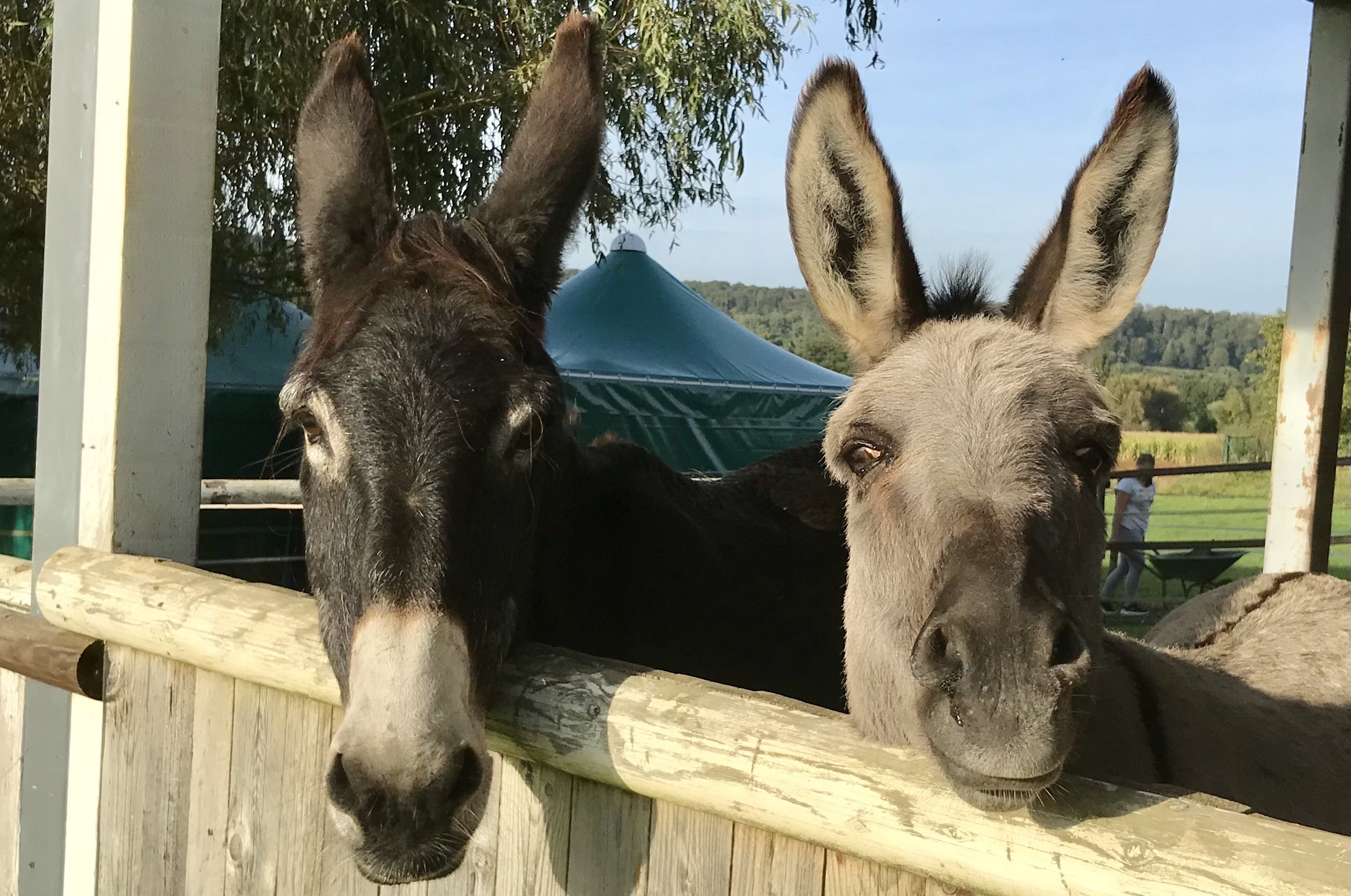 Anja und Moses formatiert