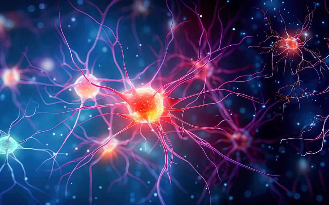 Was dein Nervensystem mit innerem Frieden zu tun hat
